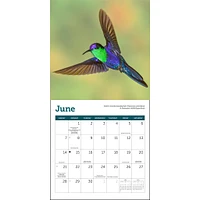 Hummingbirds 2026 Mini Calendar