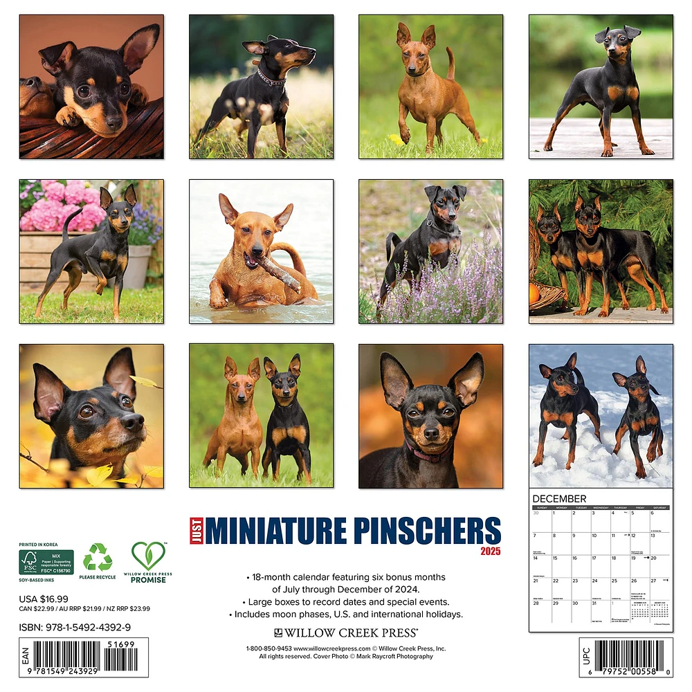 Just Miniature Pinschers Wall 2025 Calendar - Online Exclusive