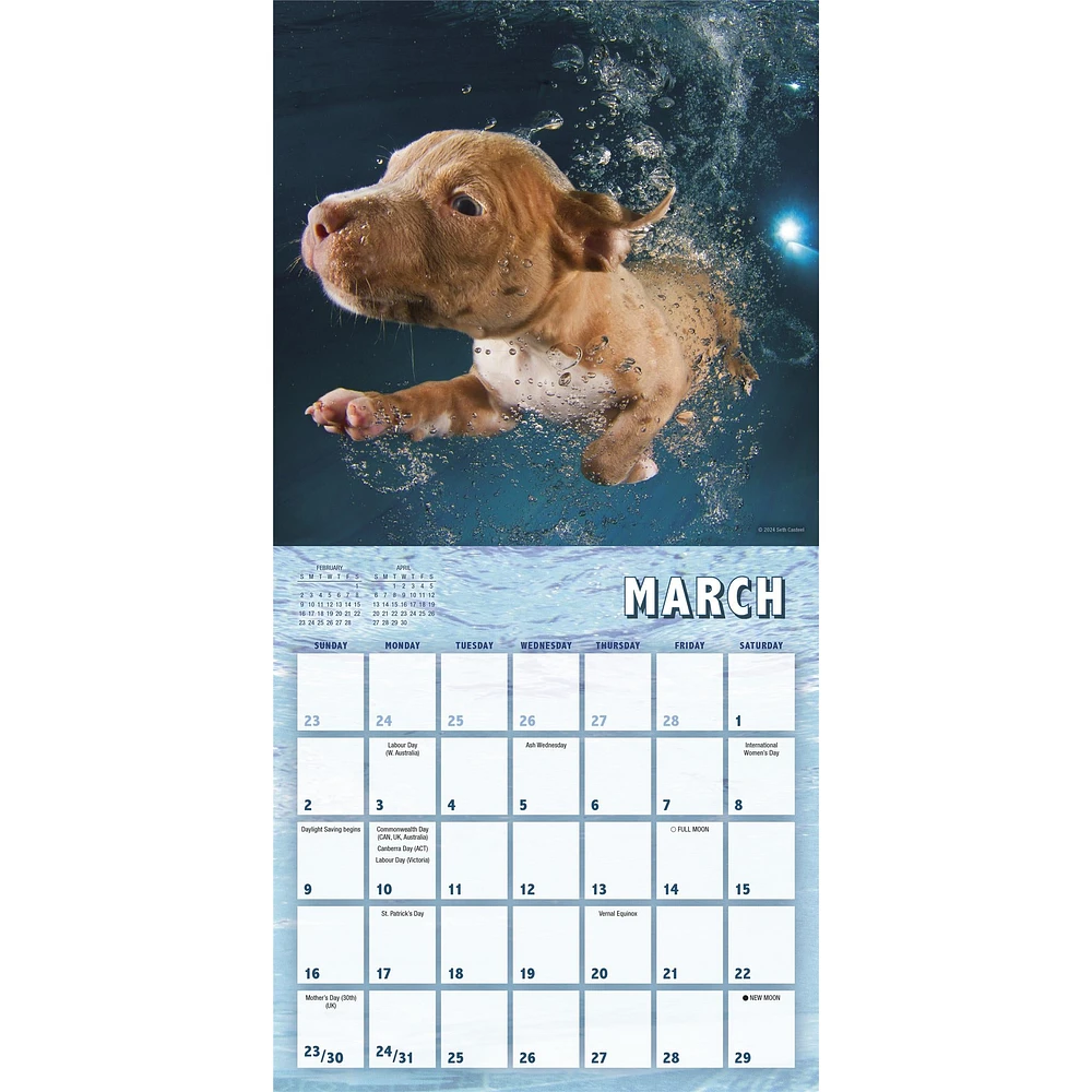 Underwater Puppies Mini 2025 Calendar