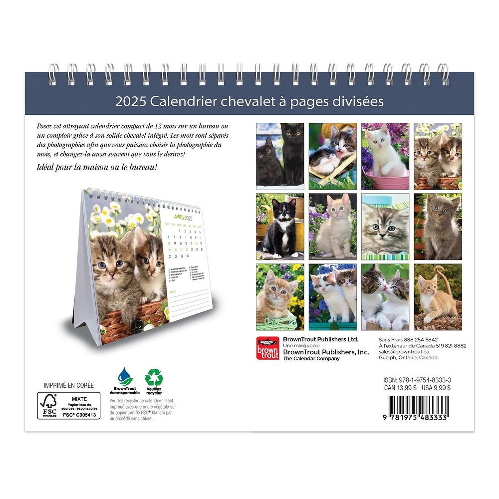 Chatons Easel 2025 Calendar (French)