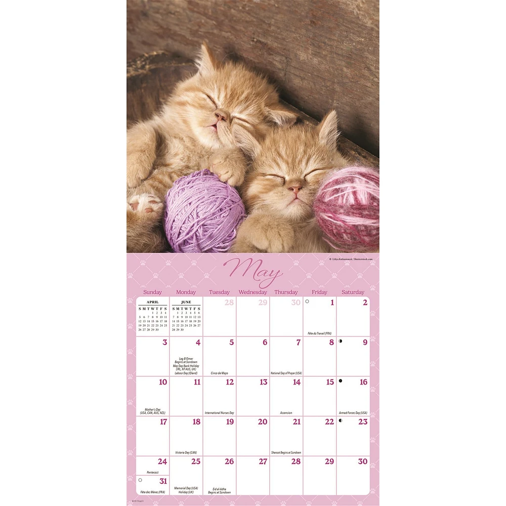 Naptime 2026 Mini Calendar