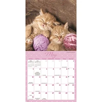 Naptime 2026 Mini Calendar