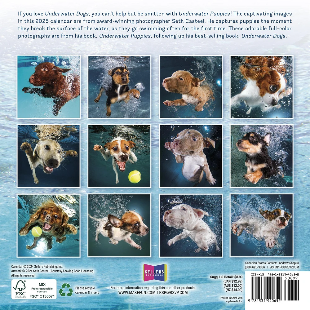 Underwater Puppies Mini 2025 Calendar