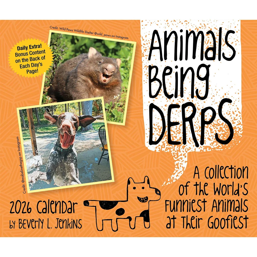 Animals Being Derps 2026 Box Calendar