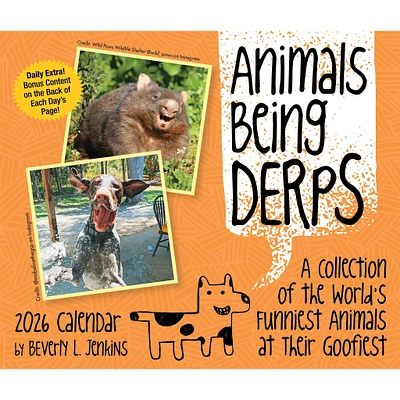 Animals Being Derps 2026 Box Calendar
