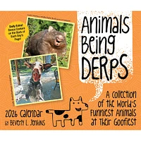 Animals Being Derps 2026 Box Calendar