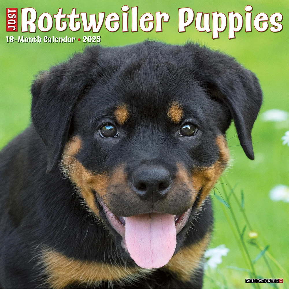 Just Rottweiler Puppies Wall 2025 Calendar