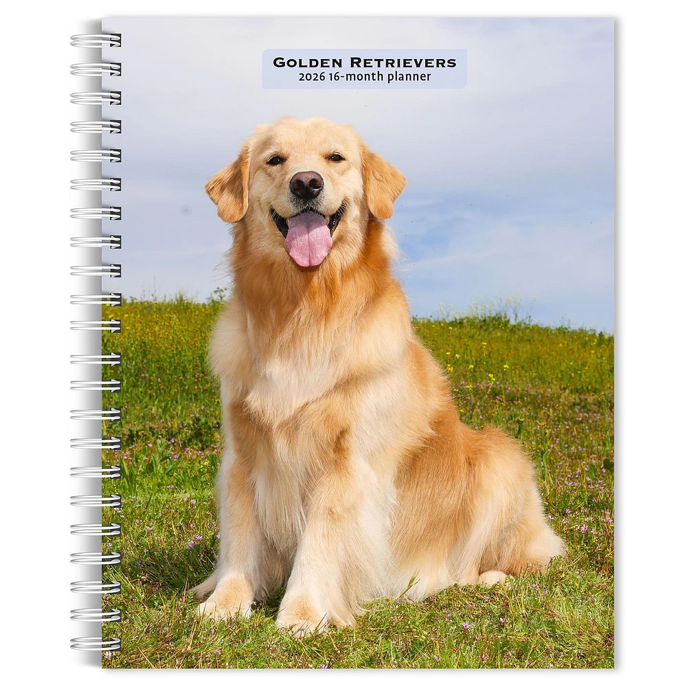 Golden Retrievers 2026 Engagement Calendar - Online Exclusive
