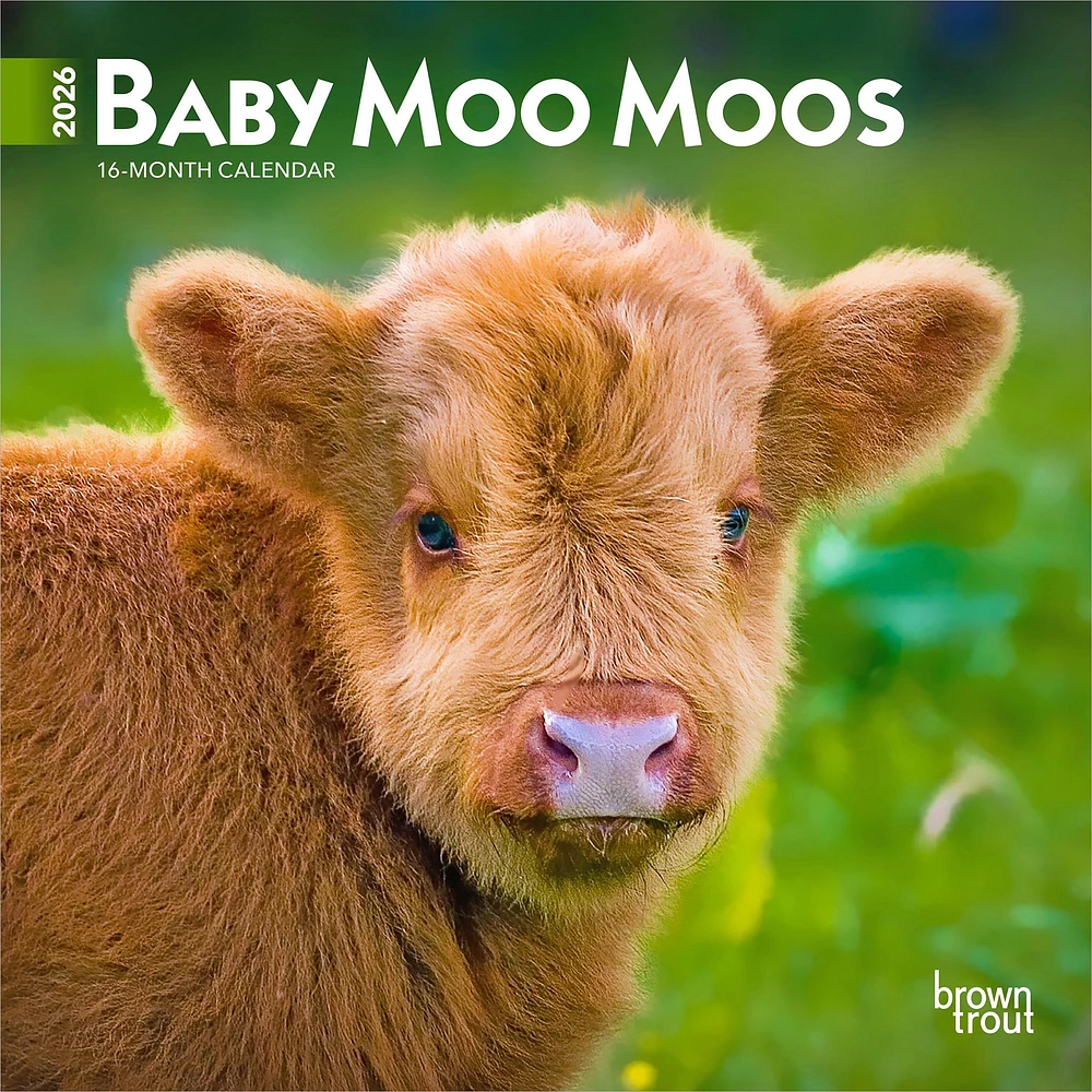 Baby Moo Moos 2026 Mini Calendar - Online Exclusive