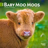 Baby Moo Moos 2026 Mini Calendar - Online Exclusive