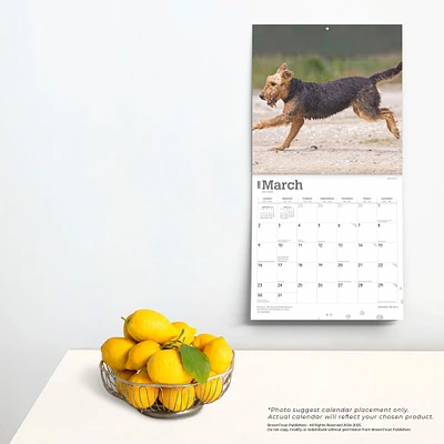 Airedale Terriers Wall 2025 Calendar