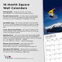 Snowboarding 2026 Wall Calendar