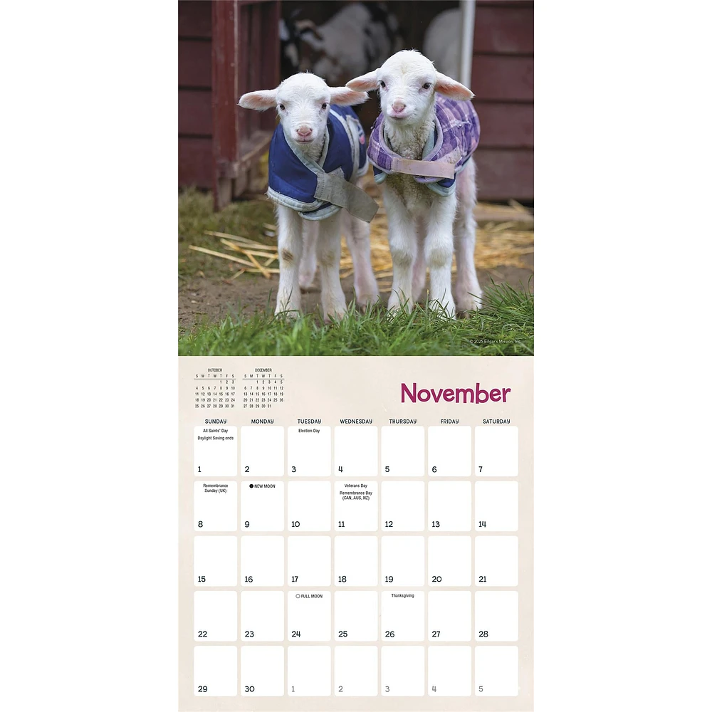 Lambies In Jammies And Goats In Coats 2026 Mini Calendar