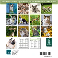 Cats Mini 2025 Calendar