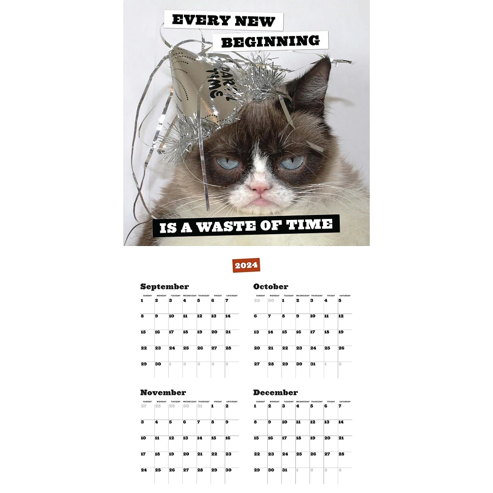 Grumpy Cat Wall 2025 Calendar