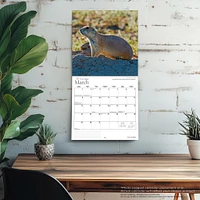 Prairies 2026 Wall Calendar
