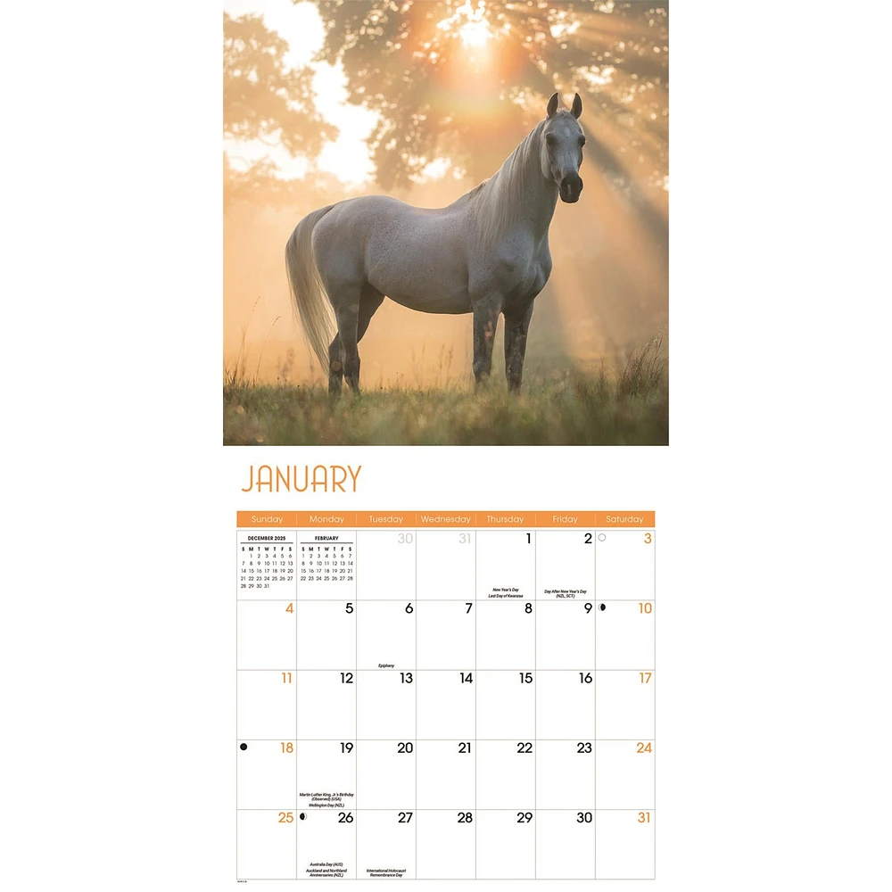Horses 2026 Wall Calendar