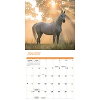 Horses 2026 Wall Calendar