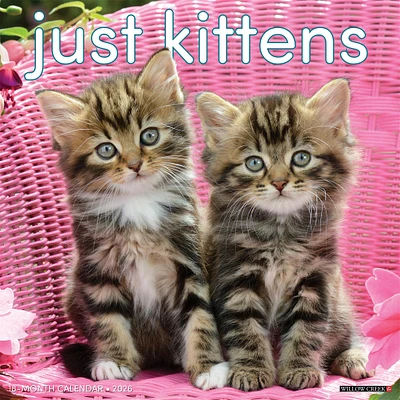 Just Kittens 2026 Wall Calendar