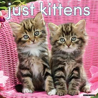 Just Kittens 2026 Wall Calendar