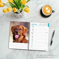 Golden Retrievers 2026 Engagement Calendar - Online Exclusive
