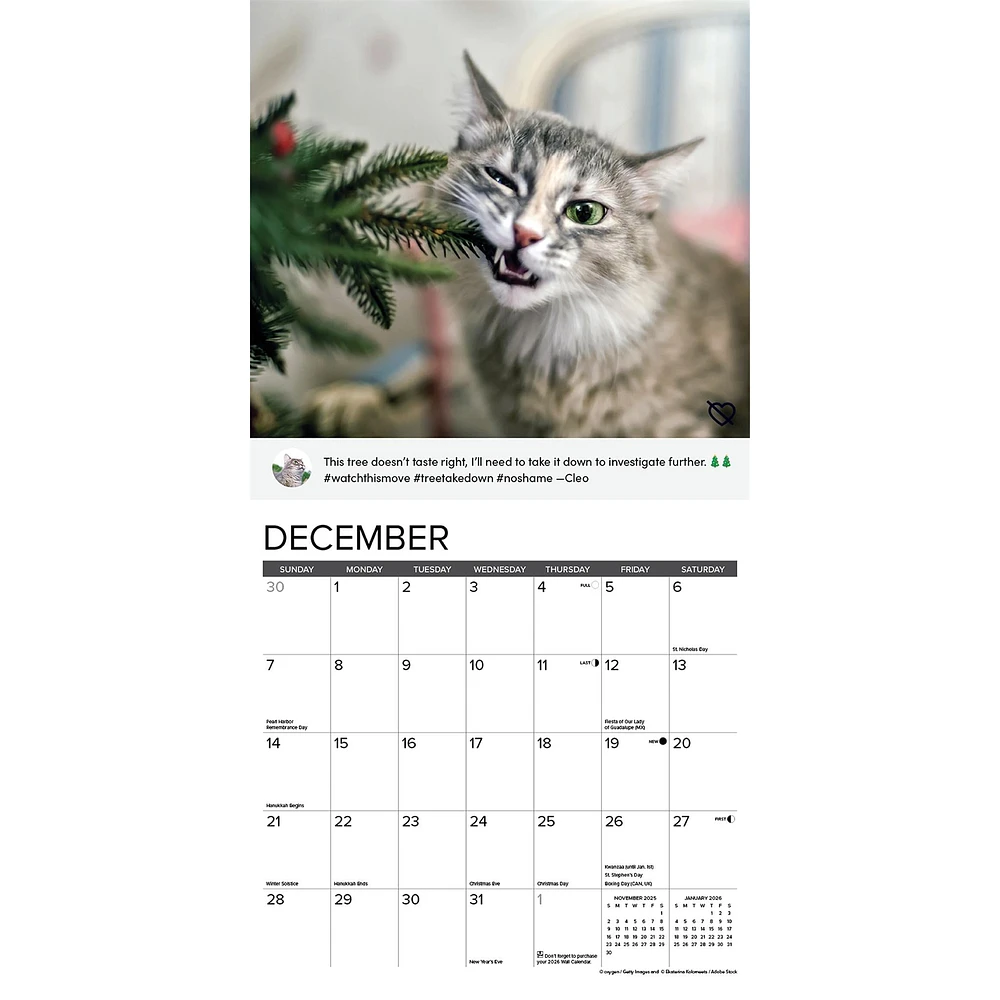 Cat Shaming Wall 2025 Calendar