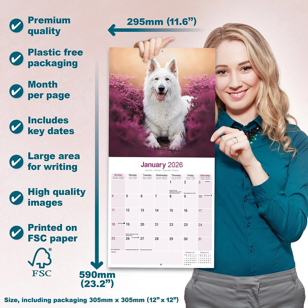White Shepherd 2026 Wall Calendar