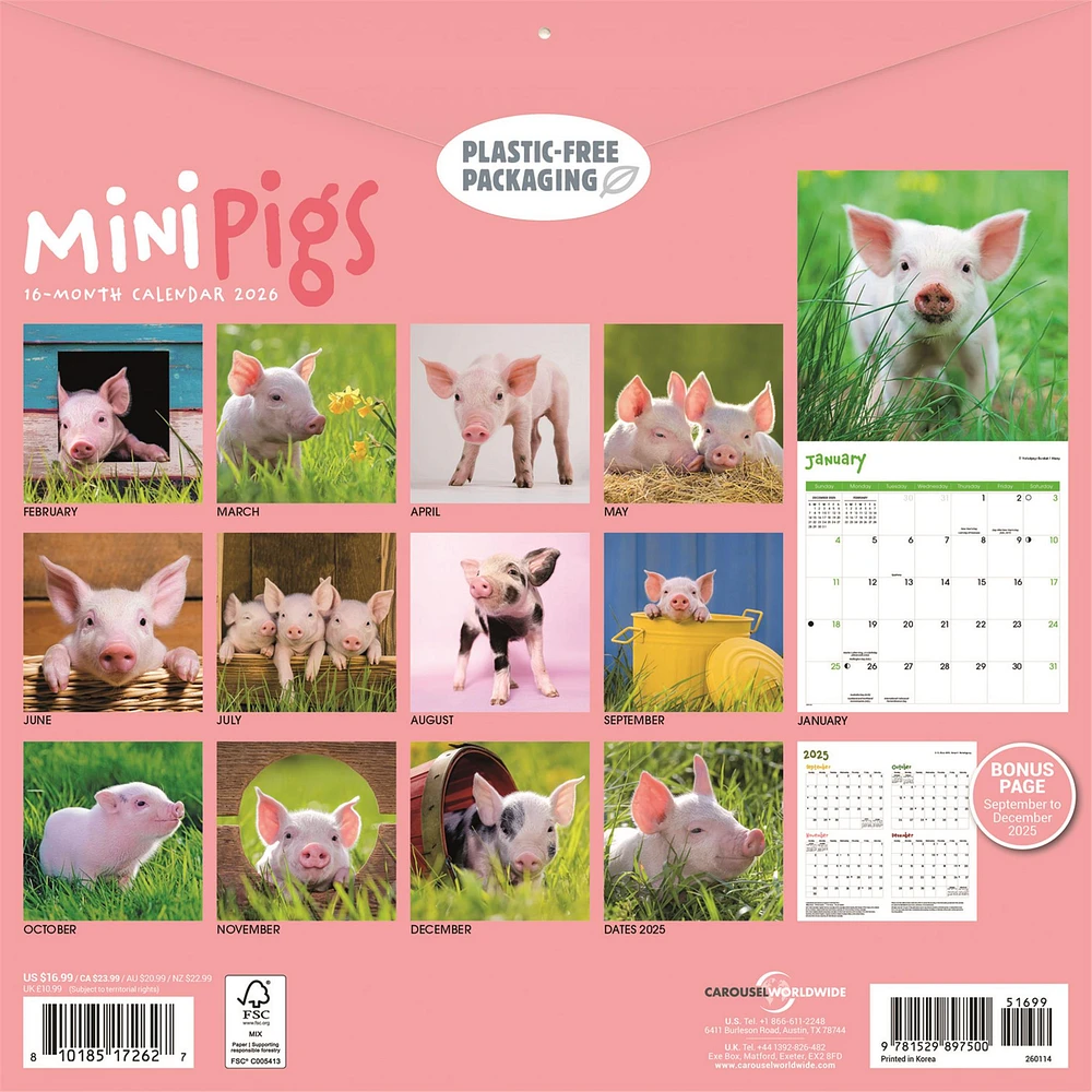 Mini Pigs 2026 Wall Calendar