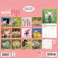 Mini Pigs 2026 Wall Calendar
