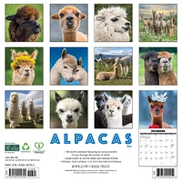 Alpacas 2026 Wall Calendar