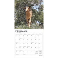 Goats In Trees Wall 2025 Calendar