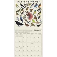 Illustrated Animal Kingdom 2026 Wall Calendar - Online Exclusive