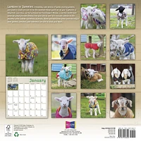 Lambies In Jammies And Goats In Coats 2026 Wall Calendar