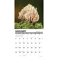 Mushroom The Art Of The 2026 Wall Calendar - Online Exclusive