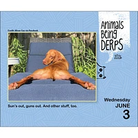 Animals Being Derps 2026 Box Calendar