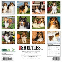 Just Shelties 2026 Wall Calendar