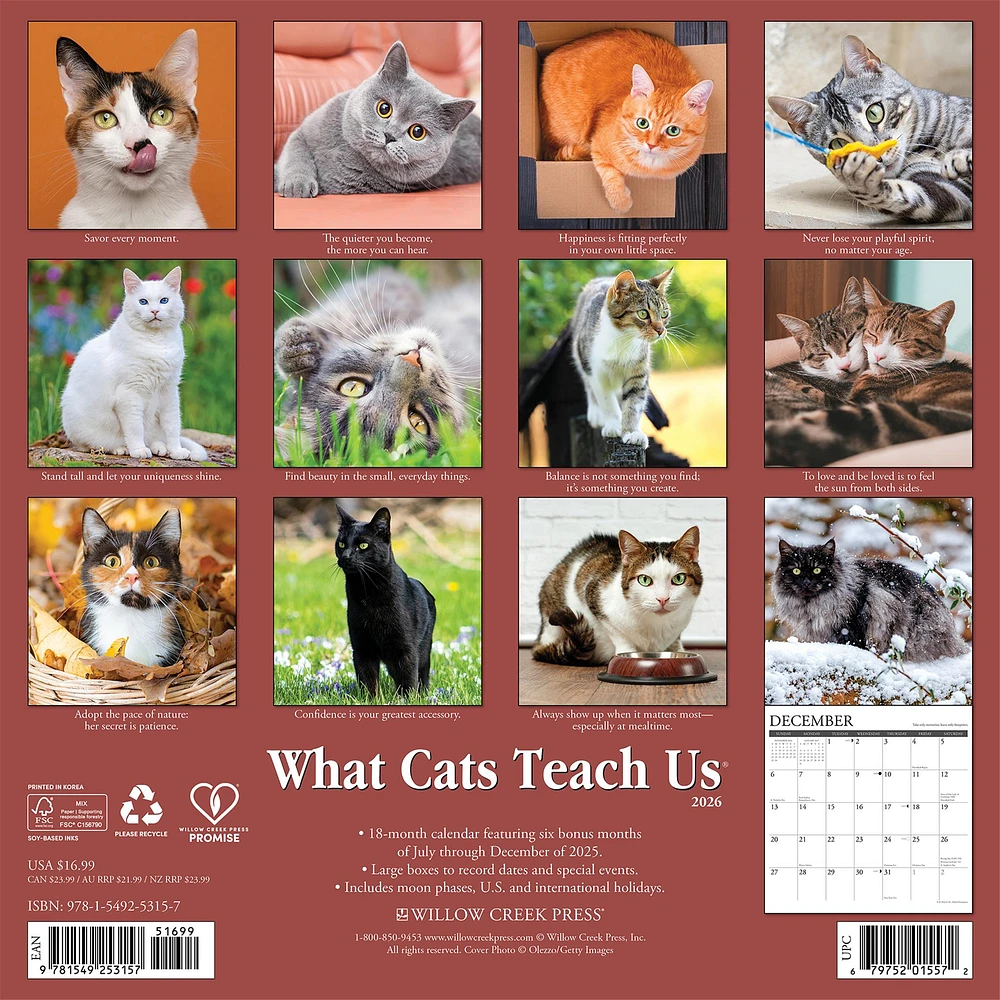 What Cats Teach Us 2026 Wall Calendar