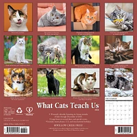 What Cats Teach Us 2026 Wall Calendar
