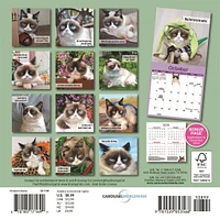 Grumpy Cat 2026 Mini Calendar