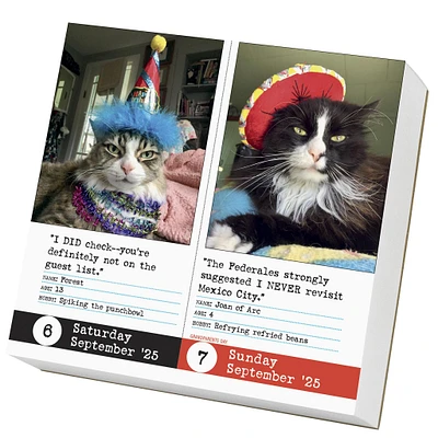 Bad Cat Box 2025 Calendar