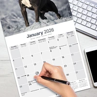 American Staffordshire Terrier 2026 Wall Calendar - Online Exclusive