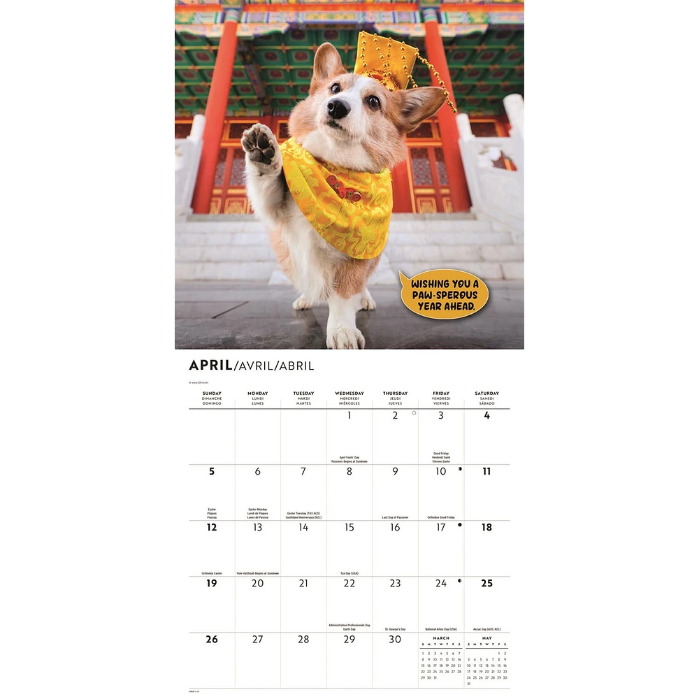 Corgi Capers 2026 Wall Calendar