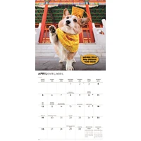 Corgi Capers 2026 Wall Calendar