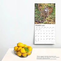 Wolves Les Loups Wall 2025 Calendar (French)