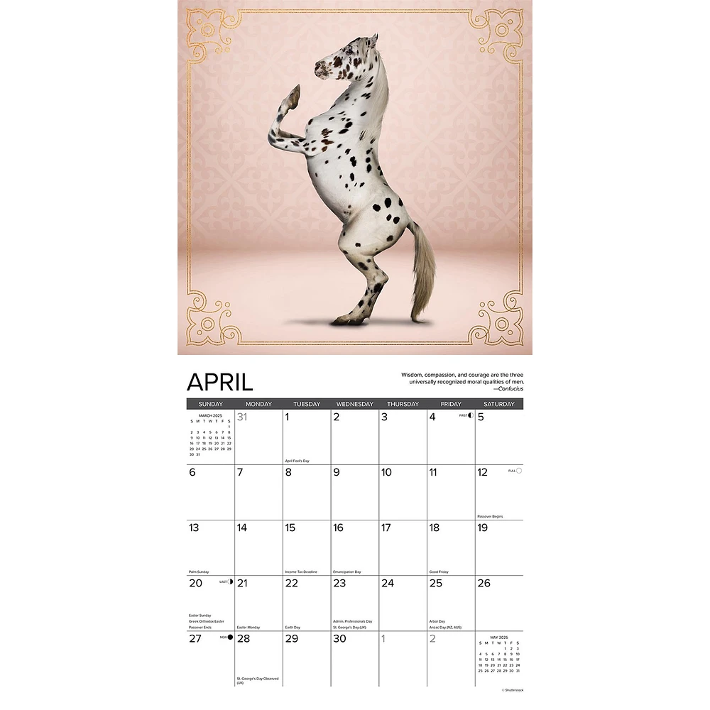 Horse Yoga Wall 2025 Calendar - Online Exclusive