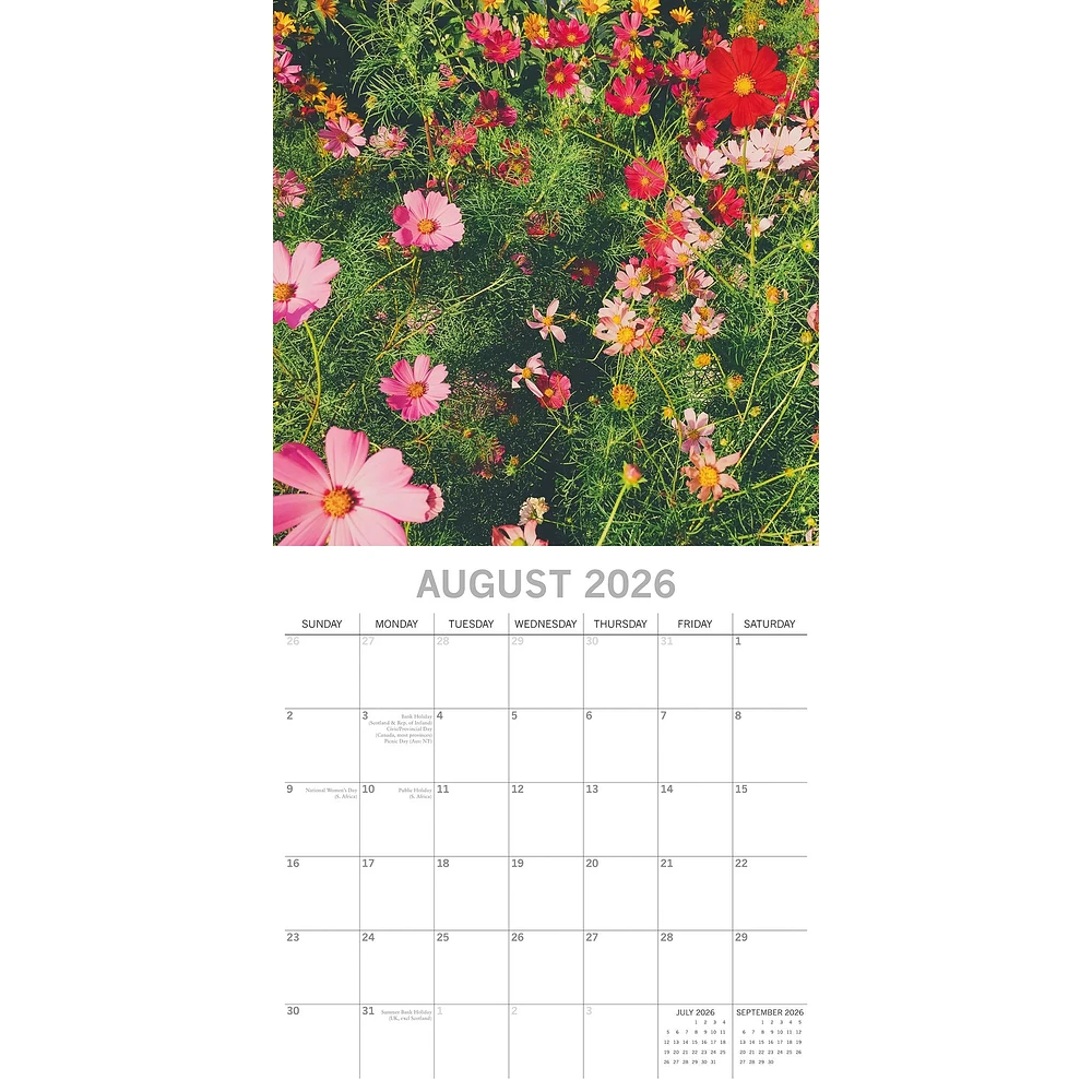 Wildflowers 2026 Wall Calendar