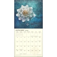 Meditation 2026 Wall Calendar - Online Exclusive
