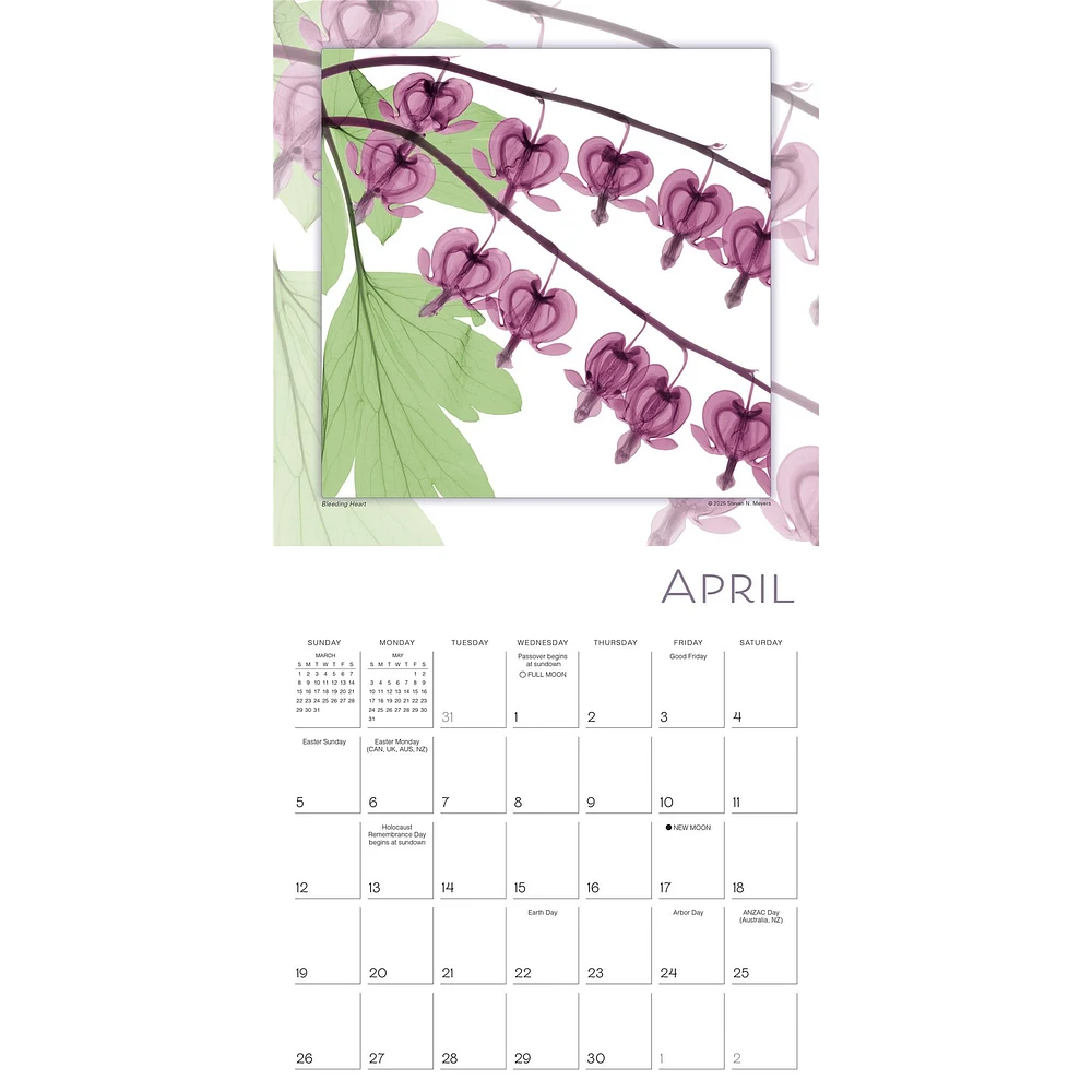 Flower Spirits 2026 Wall Calendar
