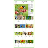 Audubon Songbirds 365 2026 Wall Calendar