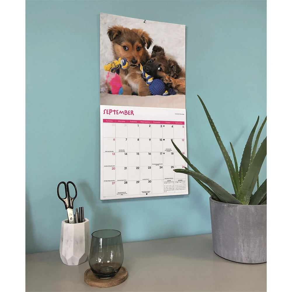 Playful Puppies 2026 Wall Calendar